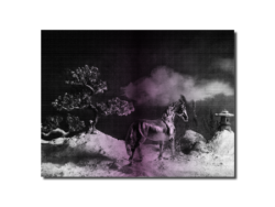 Horse Saison #2 - – Image 5