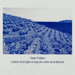 Carte des vignobles français en 2100 – Image 4