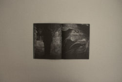 Il ne reste plus qu'à s'enraciner ensemble - Fiona Segadaes da Silva – Image 6