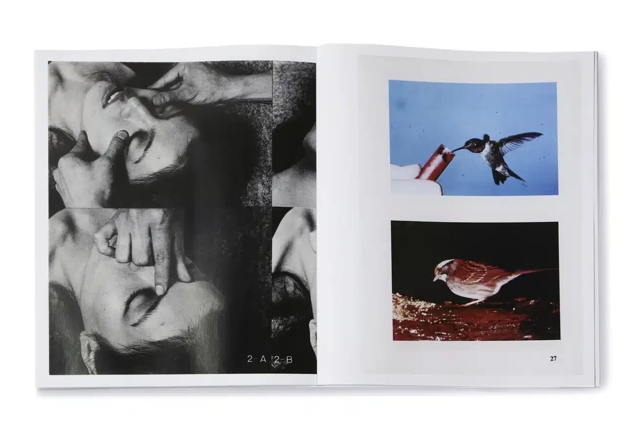 Arrangements - Carmen Winant – Image 8