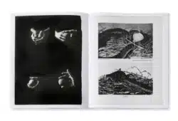 Arrangements - Carmen Winant – Image 7