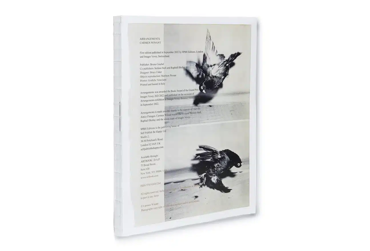 Arrangements - Carmen Winant – Image 2