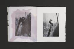 Death is not here - Wouter Van de Voorde – Image 14