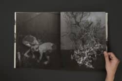 Death is not here - Wouter Van de Voorde – Image 13