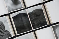 Joselito Verschaeve – If I call stones blue it is because blue is the precise word – Image 5