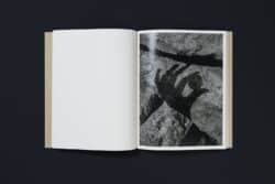Joselito Verschaeve – If I call stones blue it is because blue is the precise word – Image 6