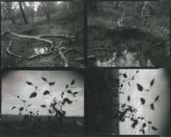 Death is not here - Wouter Van de Voorde – Image 4