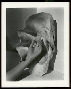 Death is not here - Wouter Van de Voorde – Image 2