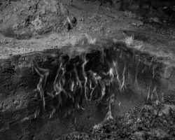Death is not here - Wouter Van de Voorde – Image 10