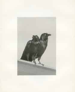 Death is not here - Wouter Van de Voorde – Image 3