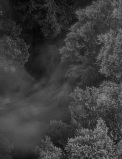 Joselito Verschaeve – If I call stones blue it is because blue is the precise word – Image 8