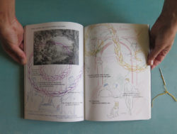 Fausse Maîtresse - C. de Trogoff – Image 4