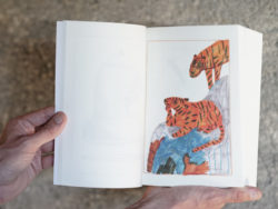 Guerre - Marion Jdanoff (nouvelle éditions) – Image 7