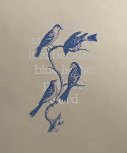 Joselito Verschaeve – If I call stones blue it is because blue is the precise word