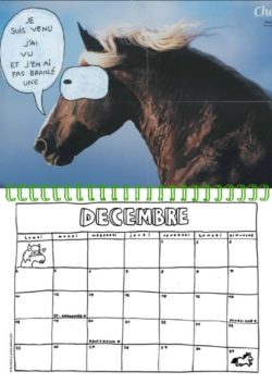 Calendrier 2023 Passion chevals -  Nils Bertho – Image 3