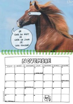 Calendrier 2023 Passion chevals -  Nils Bertho – Image 4
