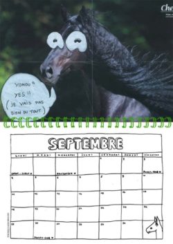Calendrier 2023 Passion chevals -  Nils Bertho – Image 5