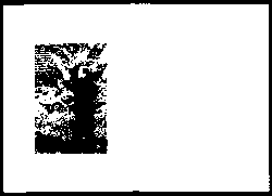 Footnotes issue D - Coll. – Image 4
