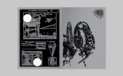 io - Rudy Guedj – Image 2