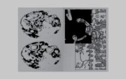 io - Rudy Guedj – Image 3