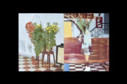 Tropism - Nhu Xuan Hua – Image 5