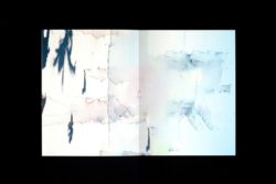 Tropism - Nhu Xuan Hua – Image 7