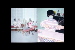 Tropism - Nhu Xuan Hua – Image 3