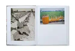 The Image of Whiteness - Daniel C. Blight – Image 13