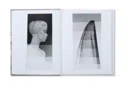 The Image of Whiteness - Daniel C. Blight – Image 11