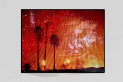 Surface Tension - Tabitha Soren – Image 9
