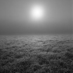 Tierra Mágica - Yannick Cormier, Candice Moise – Image 7