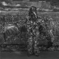 Tierra Mágica - Yannick Cormier, Candice Moise – Image 3