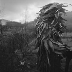 Tierra Mágica - Yannick Cormier, Candice Moise – Image 6