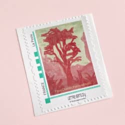 Micro-Climat - Flore Chemin – Image 4