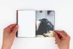 Tout va bien - Vera Muratet – Image 16