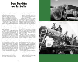 L'art des charpentiers japonais – Marcelo Nishiyama & Mark Mulligan. – Image 6