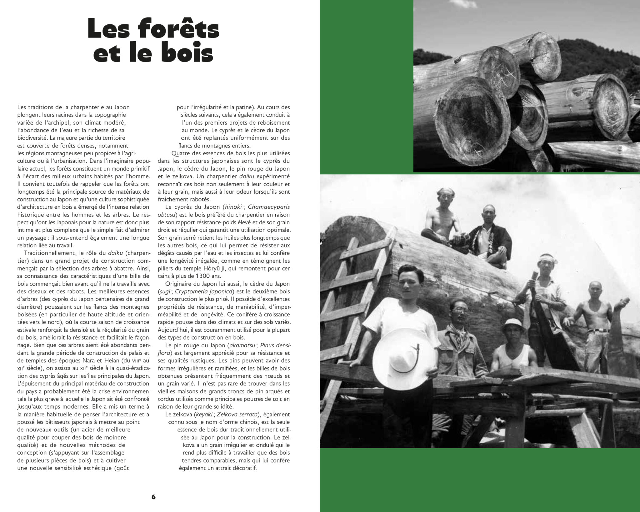 L'art des charpentiers japonais – Marcelo Nishiyama & Mark Mulligan. – Image 6