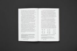 La Typographie post-binaire au delà de l'écriture inclusive - Camille Circlude – Image 5
