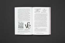 La Typographie post-binaire au delà de l'écriture inclusive - Camille Circlude – Image 8