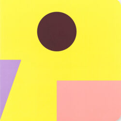 Birds - Damien Poulain