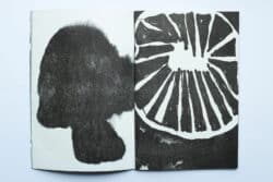 Aux marasmes révoltés - Atelier Maclane – Image 3