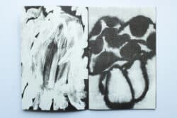 Aux marasmes révoltés - Atelier Maclane – Image 4