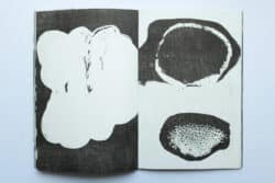 Aux marasmes révoltés - Atelier Maclane – Image 6