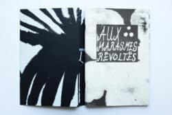 Aux marasmes révoltés - Atelier Maclane – Image 2