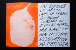 Association au potager #2 - Atelier Maclane – Image 4