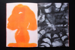 Association au potager #2 - Atelier Maclane – Image 7