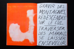 Association au potager #2 - Atelier Maclane – Image 9
