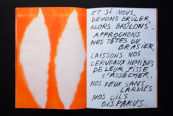 Association au potager #2 - Atelier Maclane – Image 10