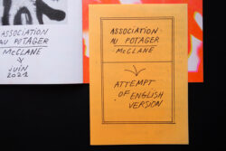 Association au potager #2 - Atelier Maclane – Image 14