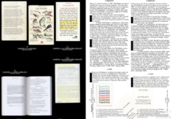 Faire – Regarder le graphisme – Volume 12 (n° 42-43-44-45) – Image 5